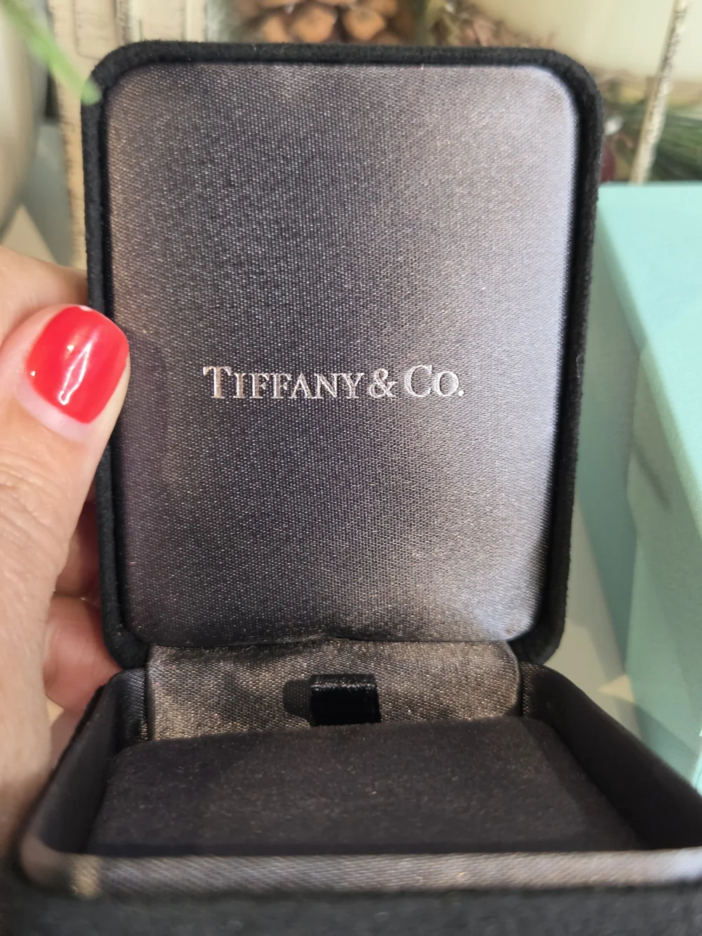 Tiffany & Co. Robin’s-egg Blue Jewelry Boxes with Black Velvet Case